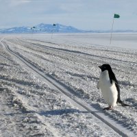 8_Graziano_Scotto_di_Clemente